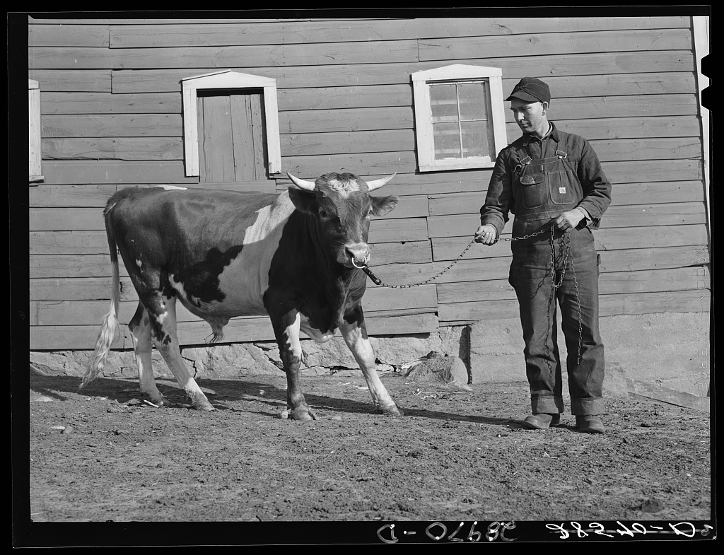 Farmers reviewing the terms of a cooperative agreement in Black Hawk County, Iowa